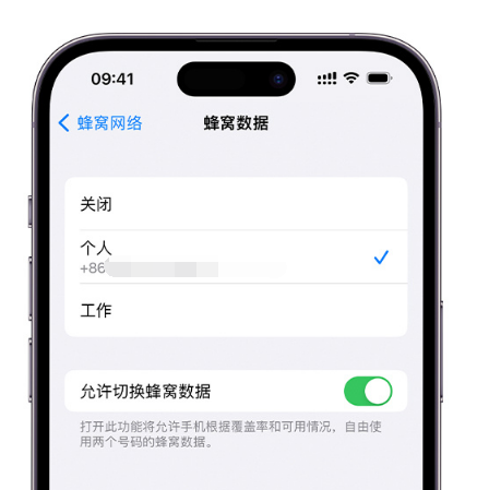 渔洋镇苹果维修服务分享如何在iPhone上使用双卡 